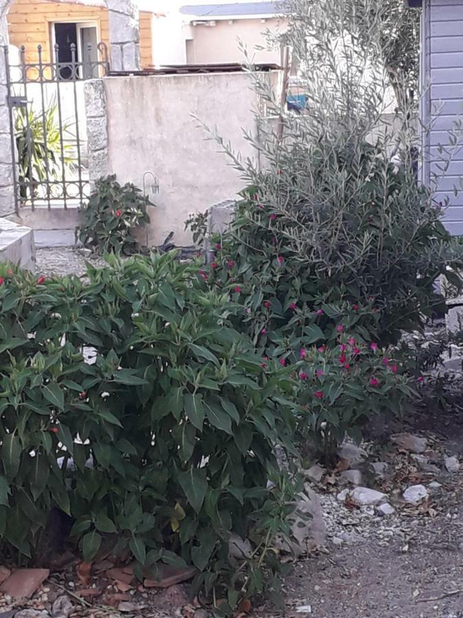 Maison Cosy Cournonterral Εξωτερικό φωτογραφία